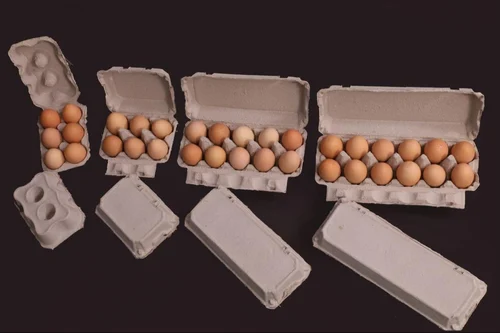Vpack Pulp Egg Packaging